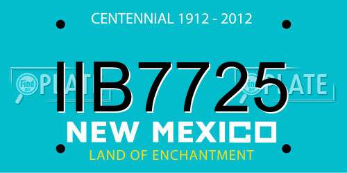 IIB7725 New Mexico License Plate