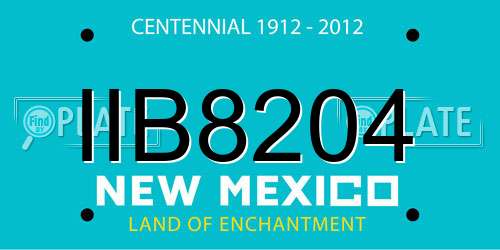 IIB8204 New Mexico License Plate