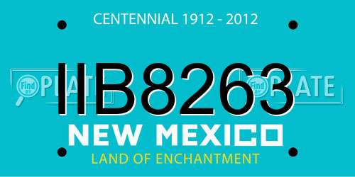 IIB8263 New Mexico License Plate