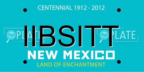 IIBSITT New Mexico License Plate