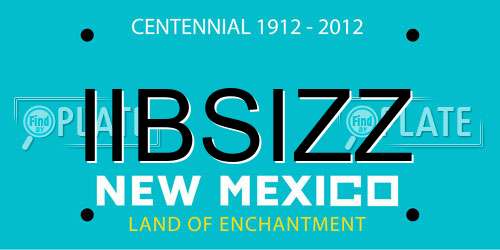 IIBSIZZ New Mexico License Plate