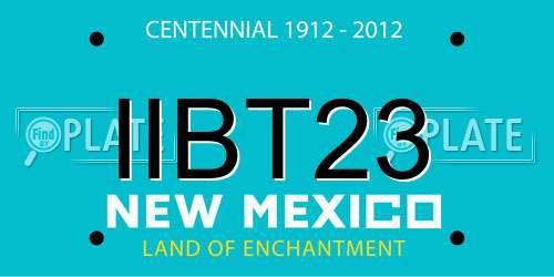 IIBT23 New Mexico License Plate