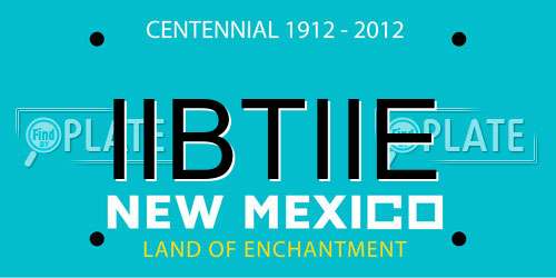 IIBTIIE New Mexico License Plate