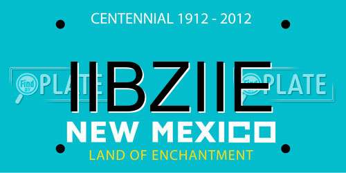 IIBZIIE New Mexico License Plate