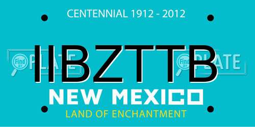 IIBZTTB New Mexico License Plate