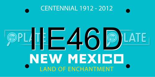 IIE46D New Mexico License Plate