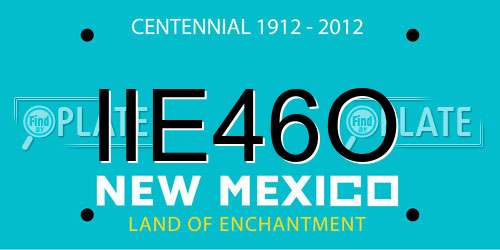 IIE46O New Mexico License Plate