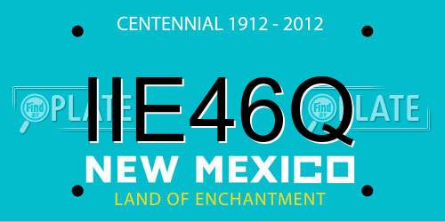 IIE46Q New Mexico License Plate