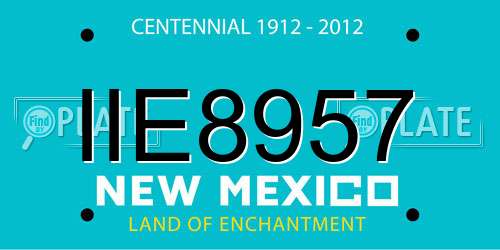 IIE8957 New Mexico License Plate