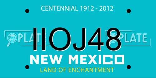 IIOJ48 New Mexico License Plate