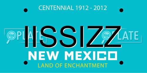 IISSIZZ New Mexico License Plate