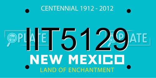 IIT5129 New Mexico License Plate