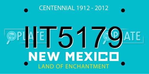 IIT5179 New Mexico License Plate