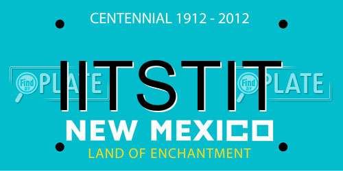 IITSTIT New Mexico License Plate