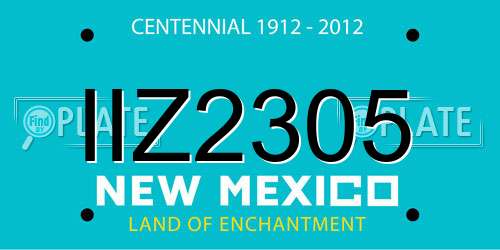 IIZ2305 New Mexico License Plate
