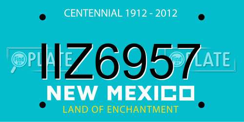 IIZ6957 New Mexico License Plate