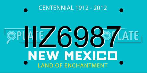 IIZ6987 New Mexico License Plate