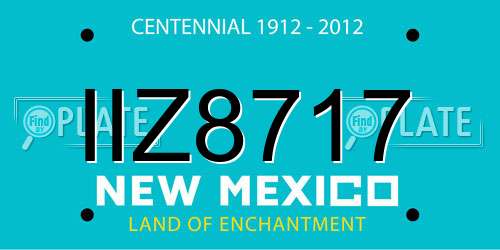 IIZ8717 New Mexico License Plate