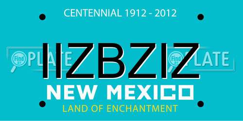 IIZBZIZ New Mexico License Plate