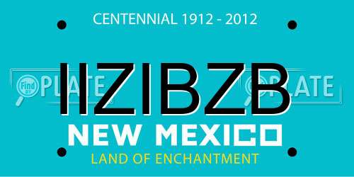 IIZIBZB New Mexico License Plate
