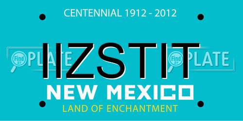 IIZSTIT New Mexico License Plate