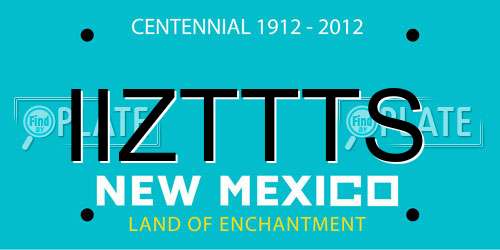 IIZTTTS New Mexico License Plate