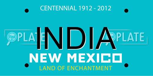 INDIA New Mexico License Plate
