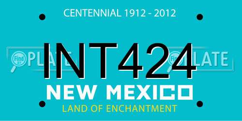 INT424 New Mexico License Plate