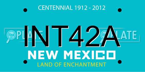 INT42A New Mexico License Plate