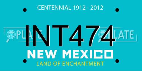INT474 New Mexico License Plate