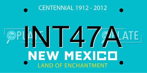 INT47A New Mexico License Plate