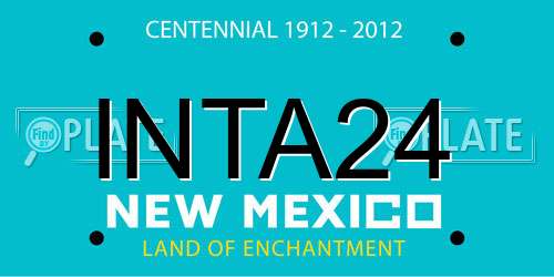 INTA24 New Mexico License Plate