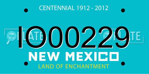 IO00229 New Mexico License Plate