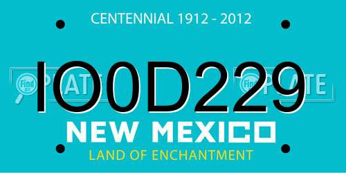 IO0D229 New Mexico License Plate