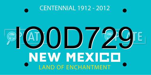IO0D729 New Mexico License Plate