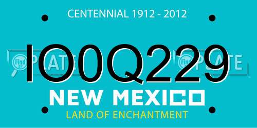IO0Q229 New Mexico License Plate