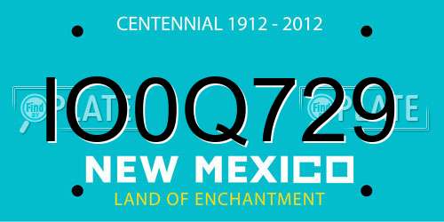 IO0Q729 New Mexico License Plate