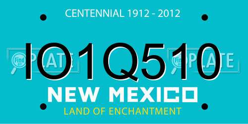 IO1Q510 New Mexico License Plate