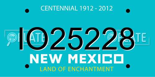 IO25228 New Mexico License Plate