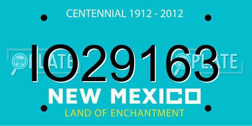 IO29163 New Mexico License Plate