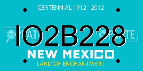 IO2B228 New Mexico License Plate