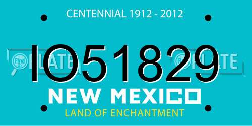 IO51829 New Mexico License Plate