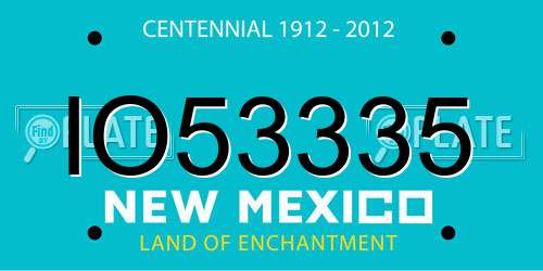 IO53335 New Mexico License Plate