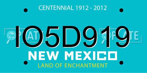 IO5D919 New Mexico License Plate