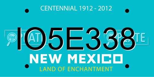 IO5E338 New Mexico License Plate