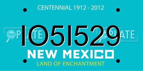 IO5I529 New Mexico License Plate
