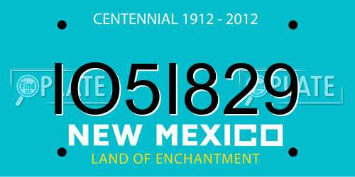 IO5I829 New Mexico License Plate