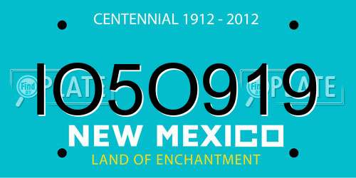 IO5O919 New Mexico License Plate