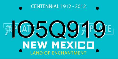 IO5Q919 New Mexico License Plate