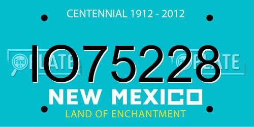 IO75228 New Mexico License Plate